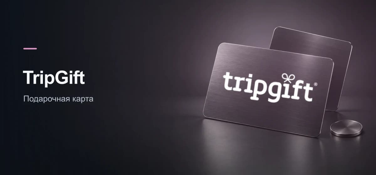 Официальный логотип TripGift